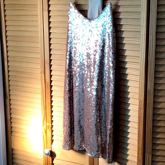 Sequins on silk - Picture 4 of 4